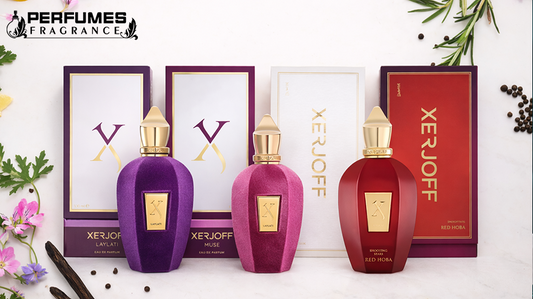  Versace Fragrances